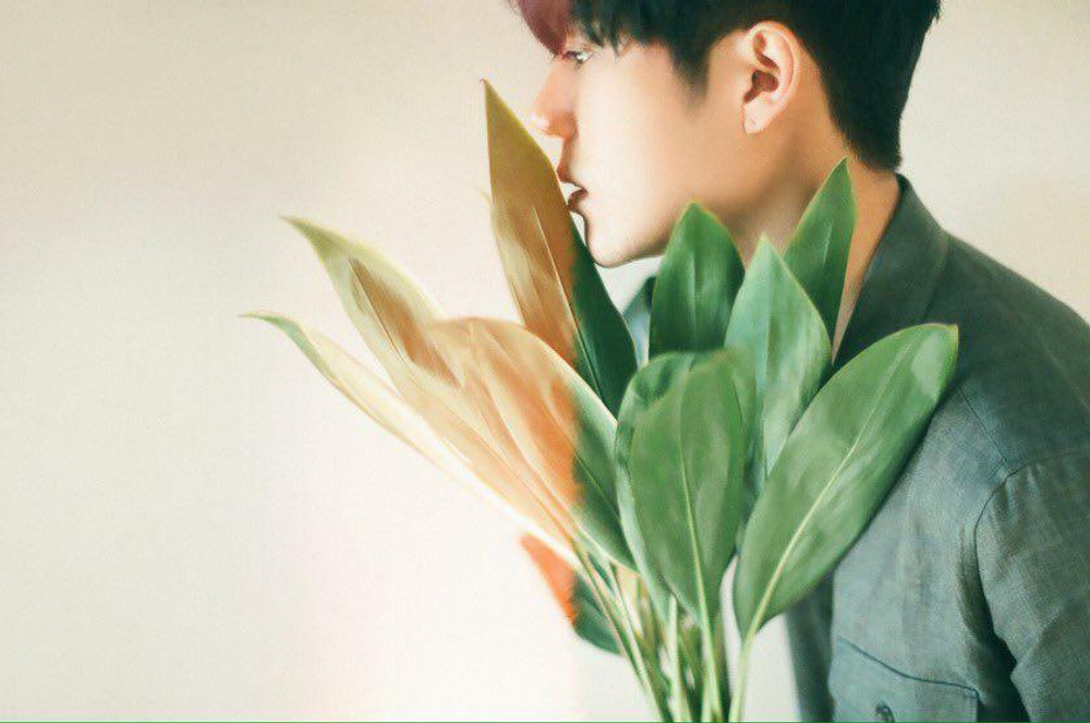 Альбом Kim Kyu Jong - Play In Nature Part.2 Forest Single Album