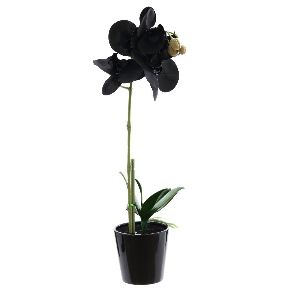 GAEM Цветочная композиция, L W H45 см