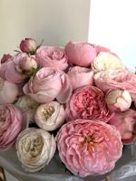 Букет из пионовидных роз