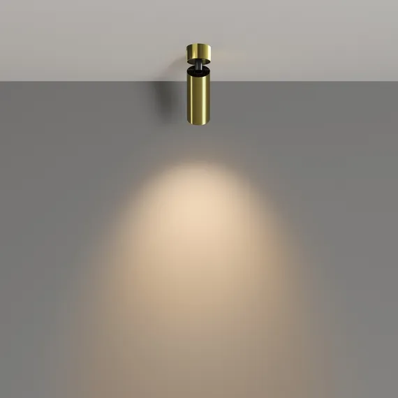 Потолочный светильник Фокус / FOCUS LED 12 Вт 3000 К 50° Technical c055cl-l12w3k-w-bs