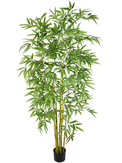 Искусственный бамбук Карибский 190см в кашпо