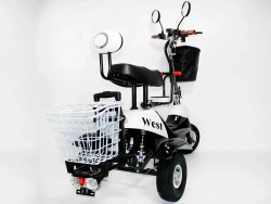 Электротрицикл EL-Sport SF8 Maxi 500W