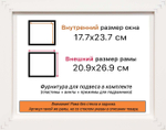 Рама 17,7x23,7 для картин и фотографий RP0102314-03(M82Y)