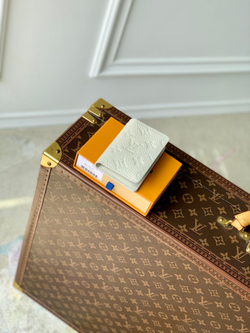 Louis Vuitton Pocket Organizer