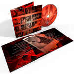 Chris Cornell / No One Sings Like You Anymore (CD)