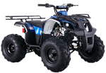Квадроцикл TAO MOTOR Bull 125