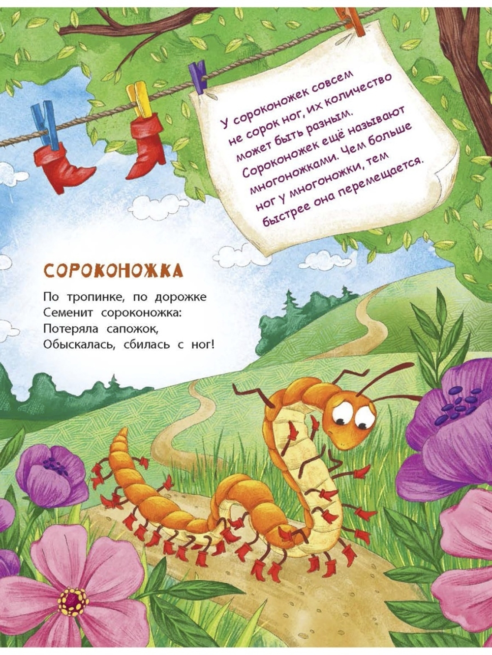 В небе и на земле