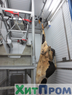 Линия убоя КРС до 40 голов/смена с холодильной камерой. г. Пермь