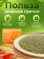 Гречка зеленая непропаренная органическая 5 кг