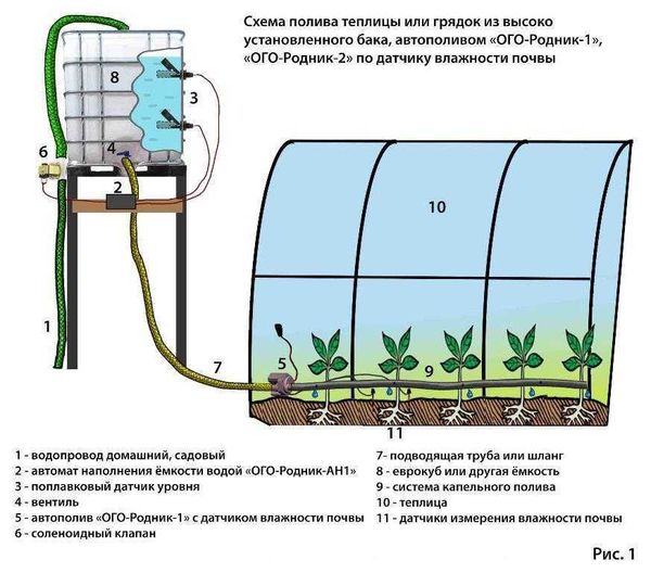 Умный полив в теплице: как настроить автополив за час