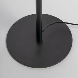 Citilux ORTON CL202933 Торшер Микс