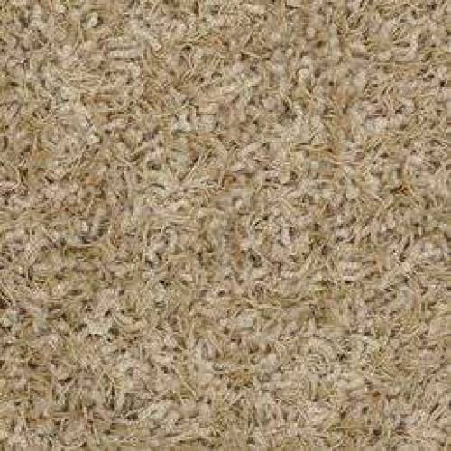 Ковровое покрытие Shaw Floors Super Chic 214