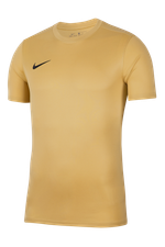 Футболка Nike Dry Park VII SS