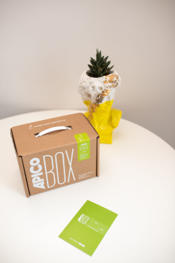 Набор продуктов APICO BOX №2 "VEGALIZE", подарочный набор из 8-ми продуктов питания, подарок на новый год