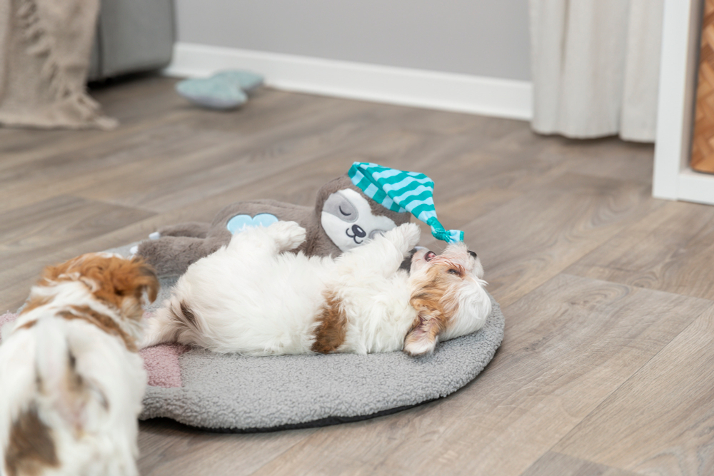 Игрушка для щенков "Ленивец", имитация сердцебиения, 34 см, плюш, Trixie