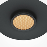 Подвесной светильник Maytoni MOD041PL-L15B3K1