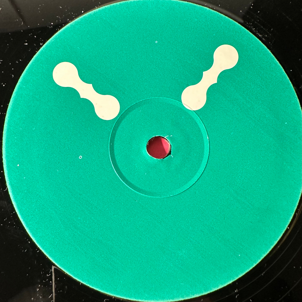 Björk ‎– Declare Independence (Европа 2008г.) 2х12", 45 RPM, CD, DVD