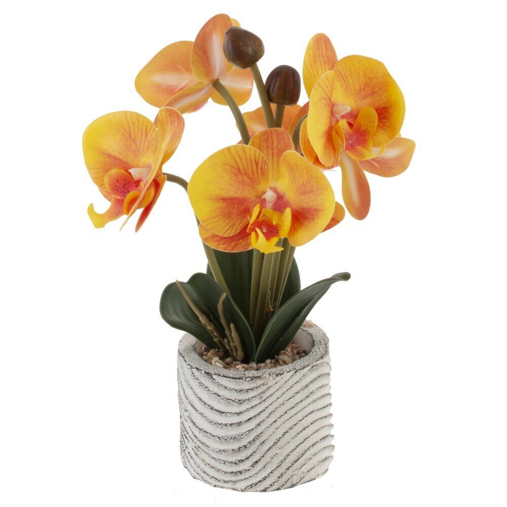 GAEM Цветочная композиция "Орхидея", L14 W13 H29 см