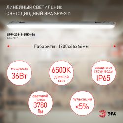 Линейный светодиодный светильник ЭРА SPP-201-1-65K-036 36Вт 6500К 3780Лм IP65 1200 прозрачный