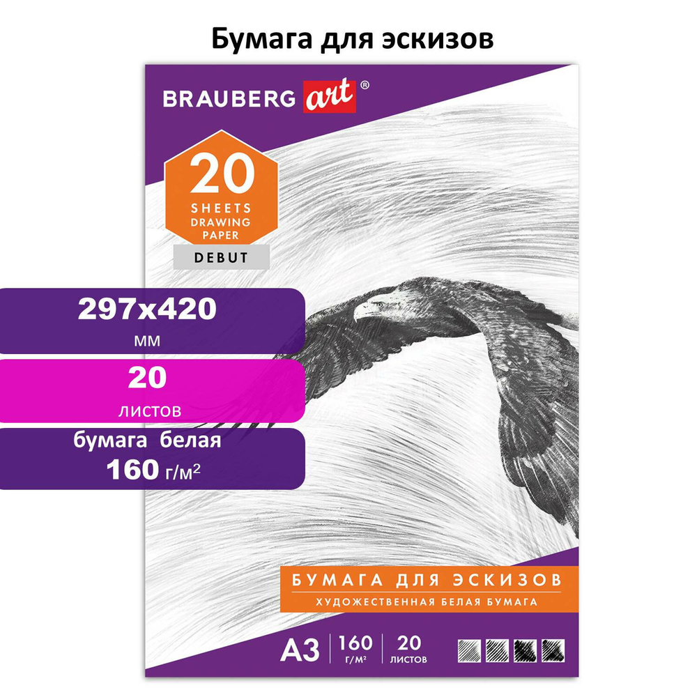 Папка для рисования формат большой А3 20 л. 160 г/м2 BRAUBERG 297х420 мм "Орел" (5 штук в упаковке)