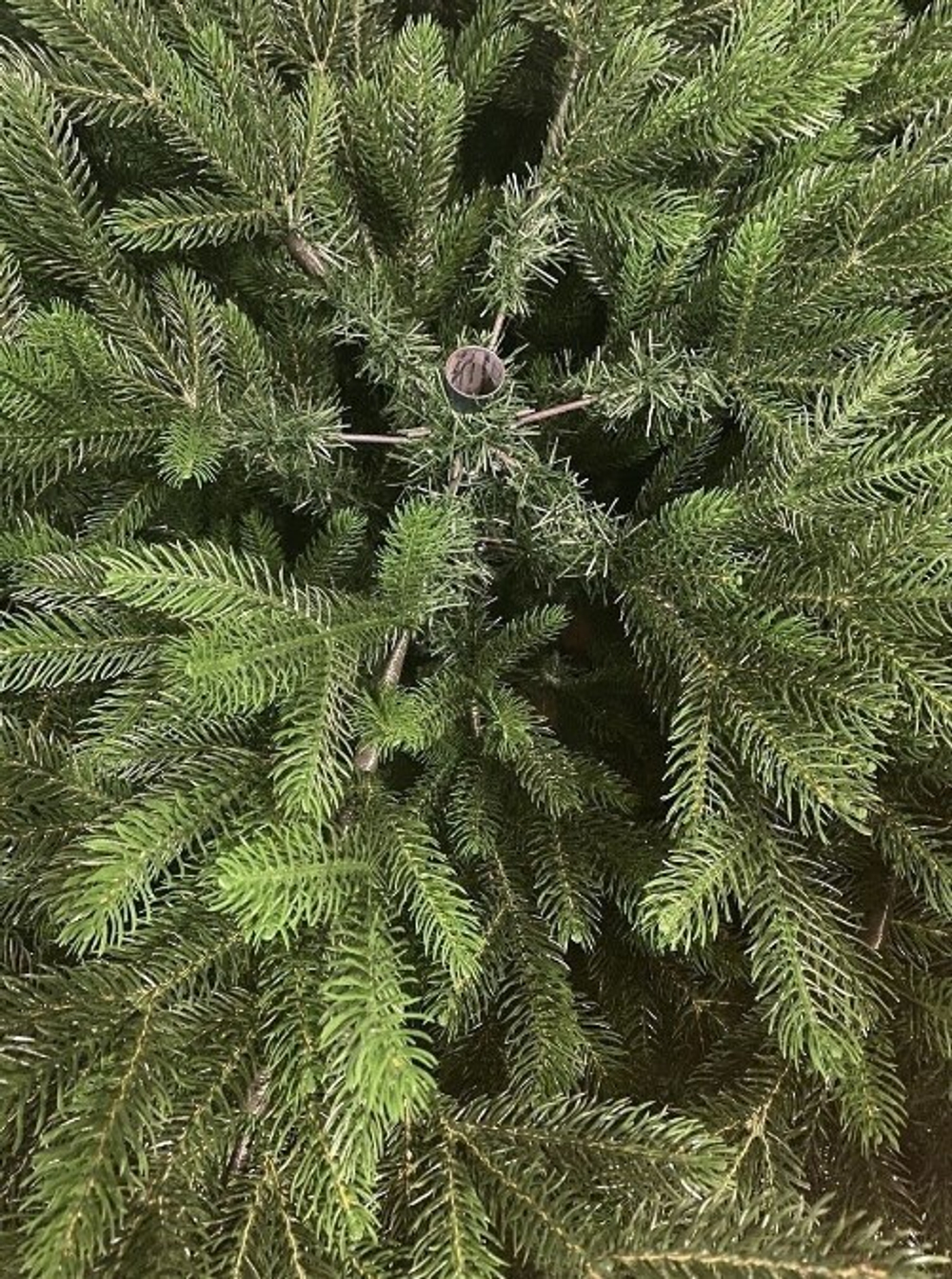 Ель искусственная Царь Елка Раскидистая Премиум, РДП-180