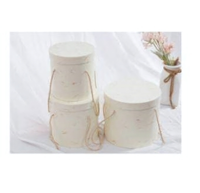 Коробка подарочная «Элегант» 25*20 см, белый