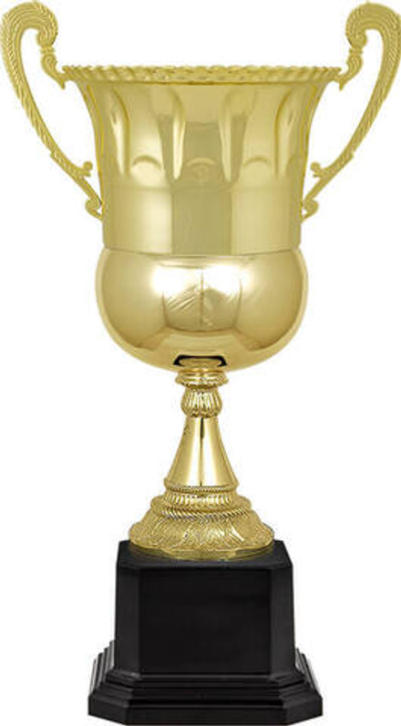 Кубок Чейз 51 см