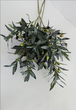 Олива серая / Арт 1235