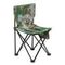 Стул складной PREMIER (PR-HX-003)