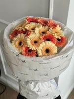 Букет из 15 минигербер кремовых оттенков