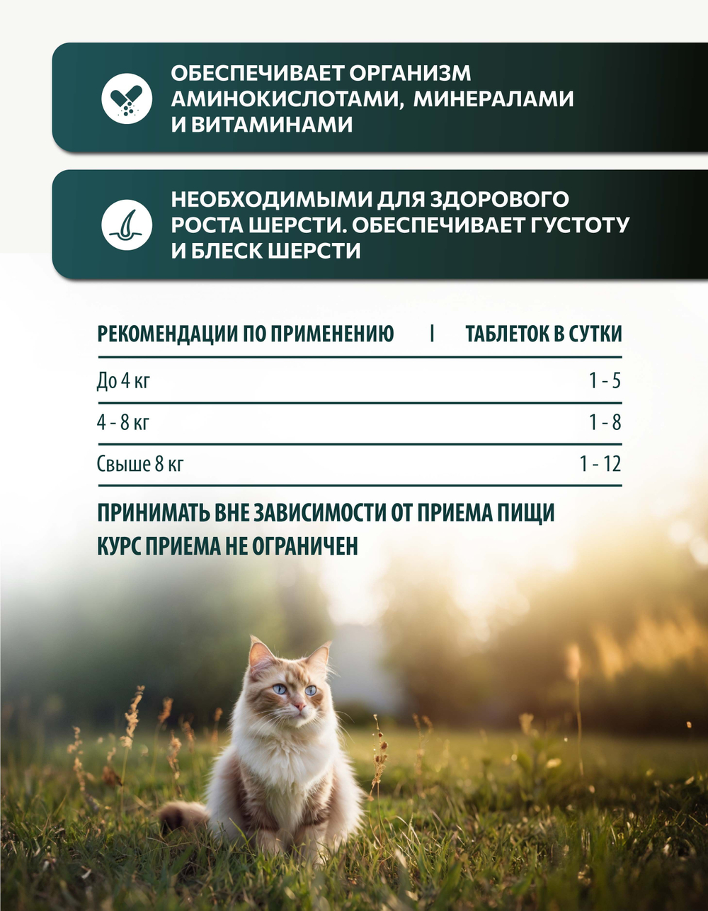 Vita+ мультивитаминное лакомство для кошек Здоровая кожа и красивая шерсть, 90 таблеток