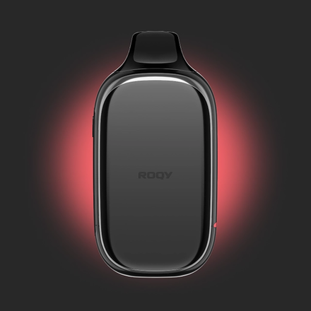 Plonq Roqy L - (Арбуз) 20000 затяжек