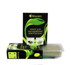 Набор для выращивания МИКРОЗЕЛЕНИ №2 (Базилик лиловый+Мицуна зеленая) (Гавриш)