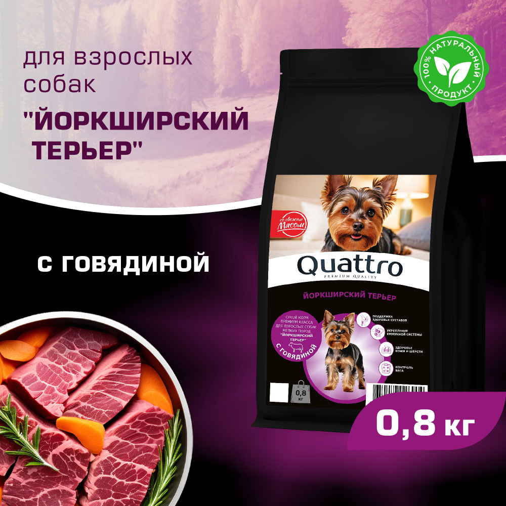 Корм сухой для взрослых собак породы Йоркширский терьер, с говядиной, 800 гр, QUATTRO