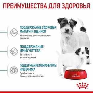 Уценка! Срок до 06.2024/ Корм для щенков мелких пород до 2-х месяцев, Royal Canin Mini Starter Mother & Babydog