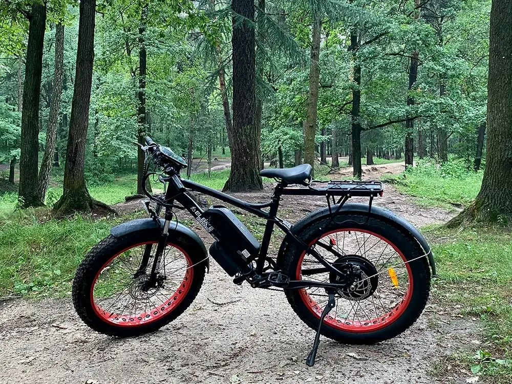 Электрофэтбайк Elbike Phantom Elite (Черный)