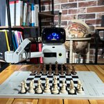 Шахматный робот «Chess»