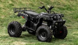 Вездеход ЕМ-015 Супер (1500Вт 60В R10 Пониженная Диф)