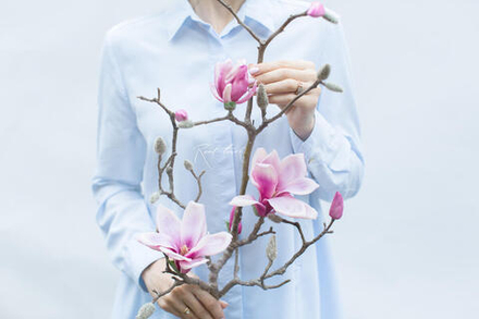 Ветка с цветами магнолии (3+4) - Светло-фиолетовый