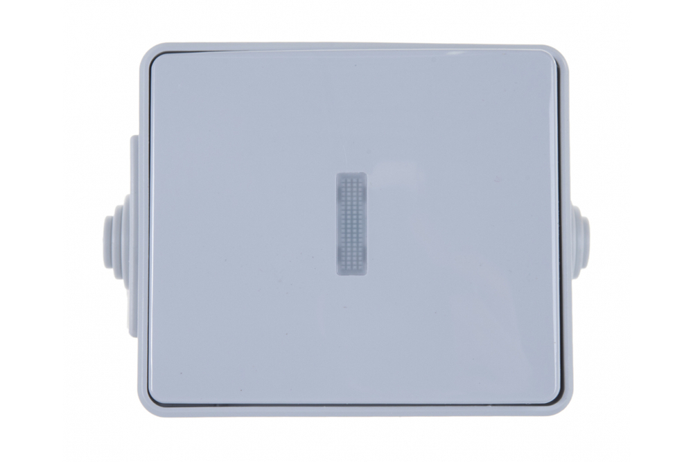 Выключатель 1-клавишный с подсветкой IP65, 10АХ-250В, серый Эксперт ЭРА