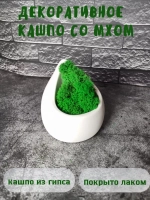 Декоративное кашпо капля из гипса со мхом