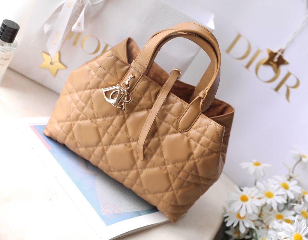Christian Dior Medium Toujours Bag 28 cm