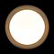 Потолочный светильник Loft it Coin 10202 BB