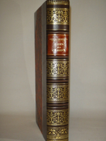 "Год на Севере". 1890г.