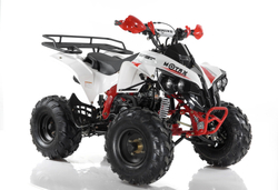 Квадроцикл MOTAX ATV Raptor Super LUX 125 cc