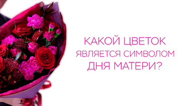 Какой цветок является символом Дня матери?