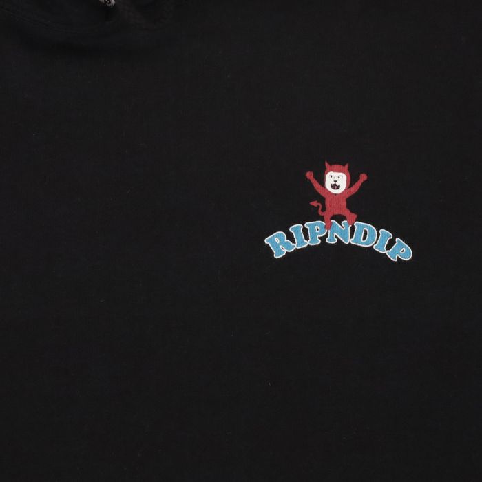 Толстовка мужская Ripndip Heaven On Earth Hoodie артикул:RND9934 - купить в магазине Дайс