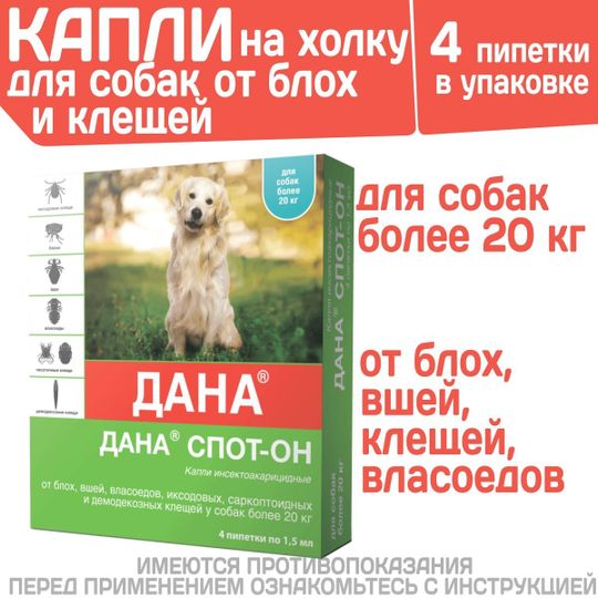 Хиты продаж
