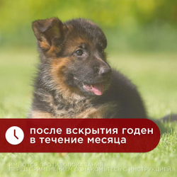 Ушные капли на основе растительных компонентов для гигиенической обработки ушей собак и кошек Отоферонол Голд Био ( ТопВет), 10мл