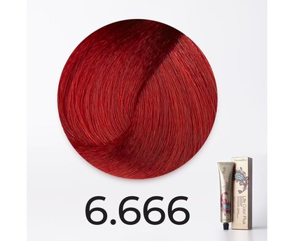 6.666 NEW темный карминово-красный Life Color Plus